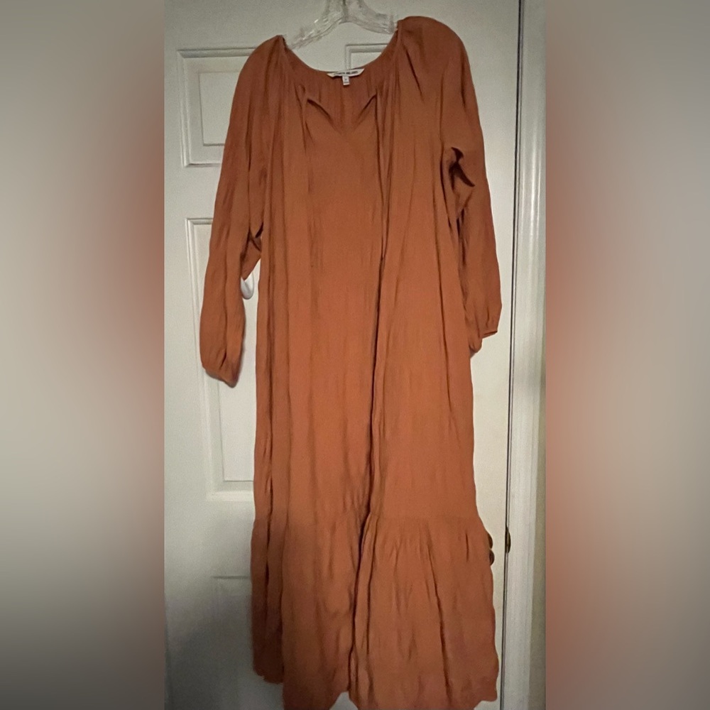 puff sleeve maxi dress by elizabeth and james